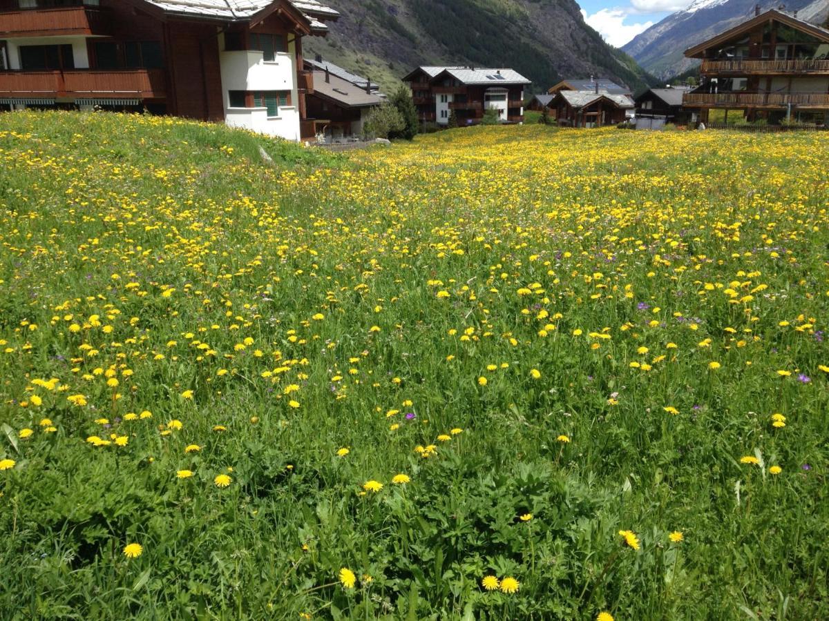 Haus Marico Apartamento Zermatt Exterior foto